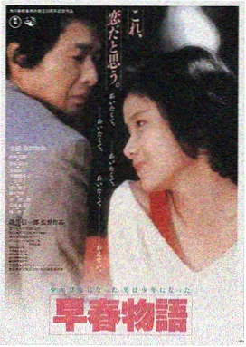 345影院热播剧《夜航西飞》封面